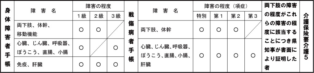 自宅等での投票において重度障害者など一定条件一覧表