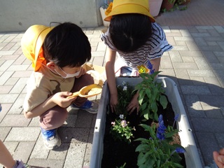 1年生が花の苗植えをしているところ