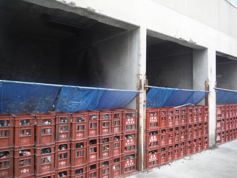 色別に分けた空き瓶