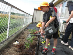 ジョーロで水をあげています。