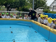 プール開き