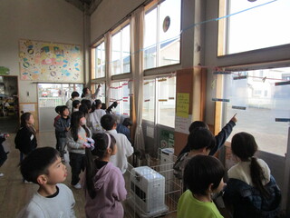 記念品どれにしようかな？