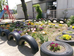 ４月の花壇の様子①