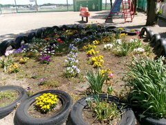 ４月の花壇の様子②