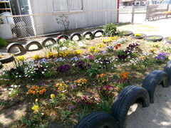 ４月の花壇の様子③