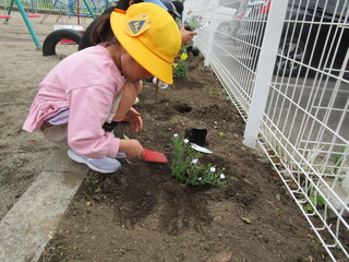 花を植えているところ