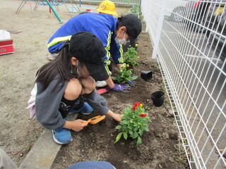 花を植えているところ