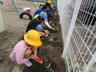 花を植えているところ