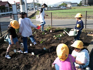 お水をあげましょう