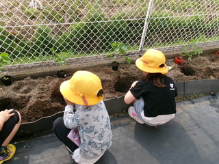 シャベルで穴掘りしているところ