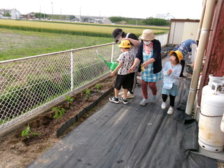 水やりをしているところ