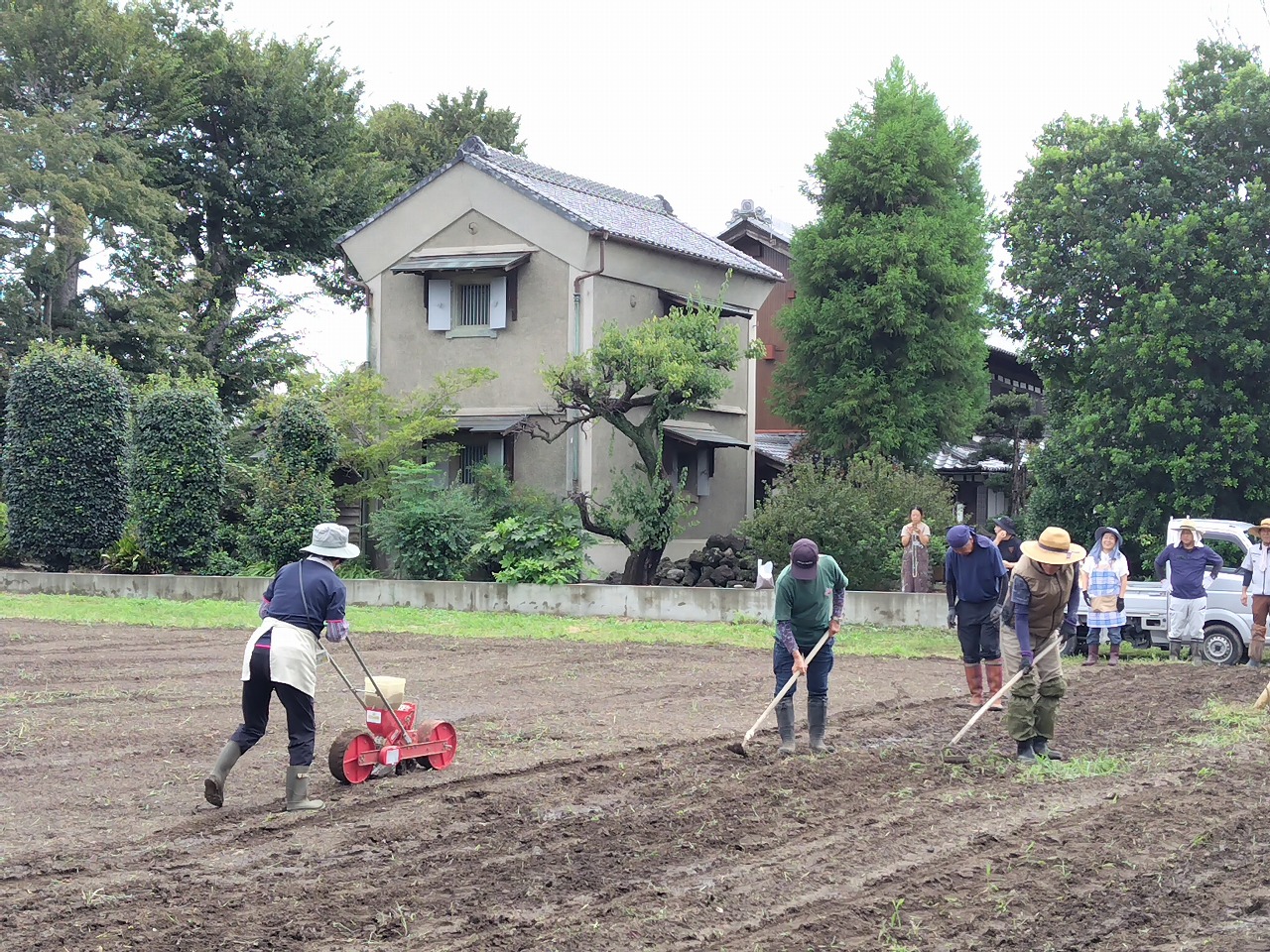 赤そば種まき