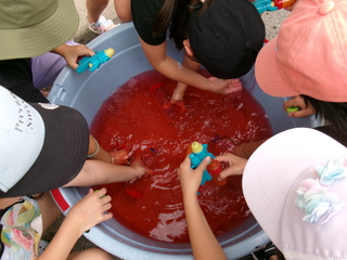 色水の完成! 色水の完成!
